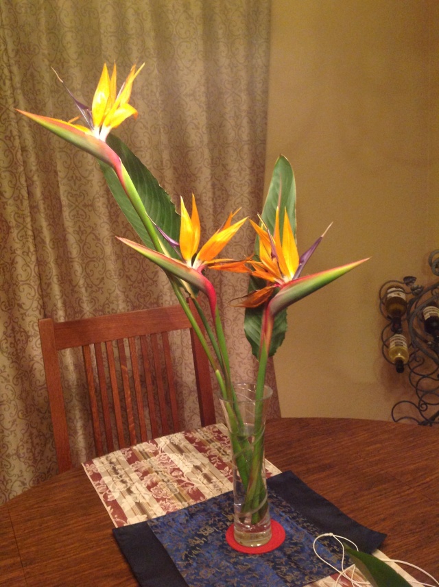 I love cutting flowers from my garden and decorating the house with them. Here in SoCal, one of the first flowers to bloom is Bird of Paradise. I currently also have alstroemerias blooming too, but there's not enough interior space to put so many floral arrangements?!